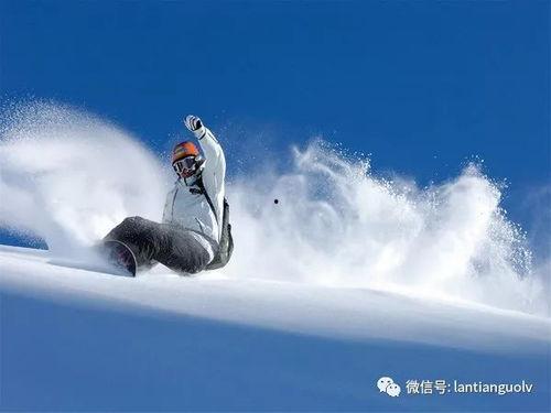 成人滑雪绘画教程视频下载,跟随视频轻松掌握滑雪技巧