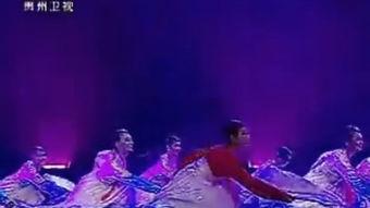 成人荷花杯群舞视频教学