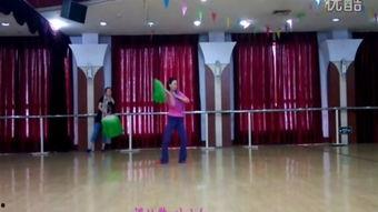 成人苗族舞蹈群舞视频,传承千年文化韵律的视觉盛宴