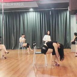 成人舞蹈视频学什么,轻松掌握舞步与韵律