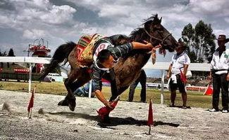 成人赛马手势舞教学视频,跟随教学视频，舞动激情时刻