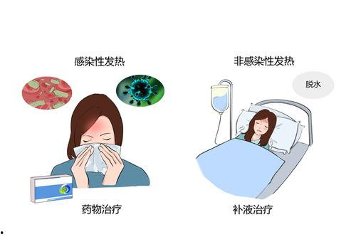 成人快速退烧视频播放,成人退烧新方法大公开