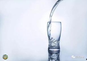 大号成人淋水神器视频,揭秘大号成人淋水神器视频的欢乐瞬间