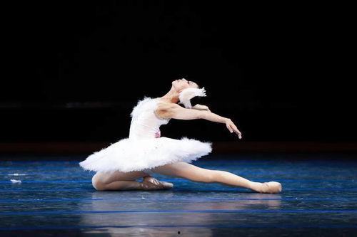 成人独舞写字视频大全集