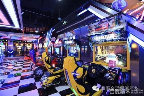 成人室内游乐旱冰视频,室内成人游乐新体验