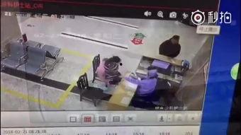 免费观看成人九九视频,免费观看九九视频的无限魅力