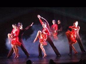 舞蹈视频蒙古舞成人教学,成人学员舞蹈学习指南