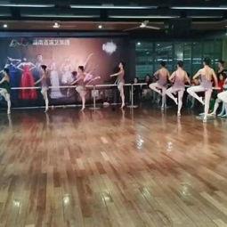 舞蹈视频蒙古舞成人教学,成人学员舞蹈学习指南