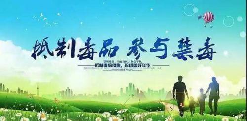 禁毒视频观后感成人,照亮人生道路的警醒与抉择