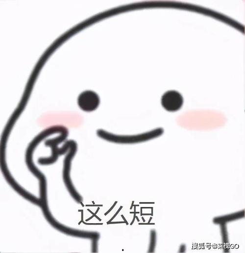 猪猪变成人的短视频,奇幻之旅的奇妙启程