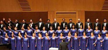 成人男声合唱教学视频,解锁合唱之美，共筑和谐之声