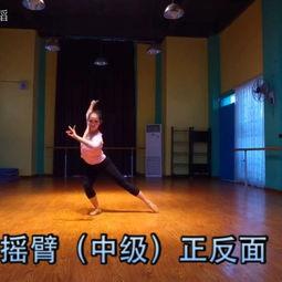 刘智远成人舞蹈视频教学,轻松入门，舞动人生