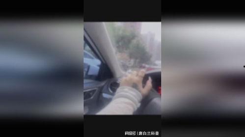 成人拉屎真香视频网站,一场颠覆传统认知的视觉盛宴