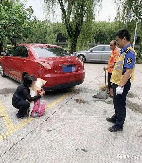 成人遛狗扭扭车视频,成人扭扭车视频走红网络