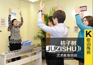 成人学练唱歌好吗视频,开启音乐之旅的精彩篇章