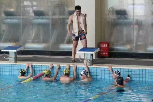 成人学习游泳视频讲解,轻松学会成人游泳技巧