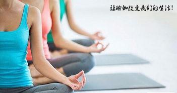 瑜伽纱裙成人运动视频,成人运动新风尚体验记