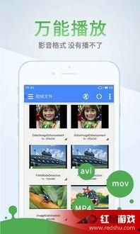 欧美成人网络视频在线,揭秘隐秘的虚拟世界