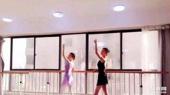 书架成人舞蹈视频大全,书架精选成人舞蹈视频大全解析