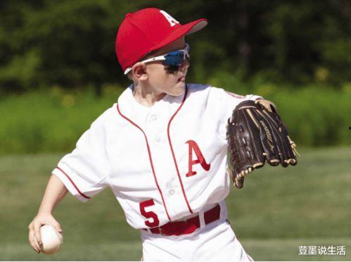 成人打棒球视频大全,成人棒球视频大全集锦