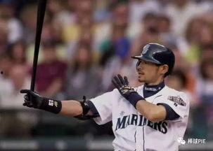 成人打棒球视频大全,成人棒球视频大全集锦