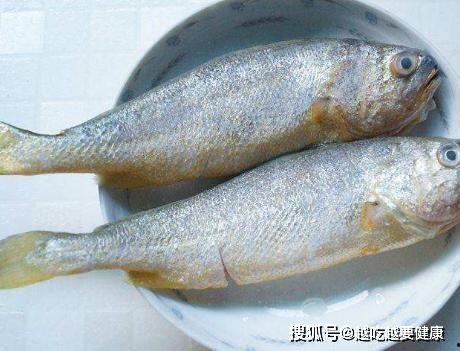 黄鱼视频高清成人极速,高清成人极速体验，畅享视觉盛宴