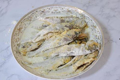 黄鱼视频高清成人极速,高清成人极速体验，畅享视觉盛宴