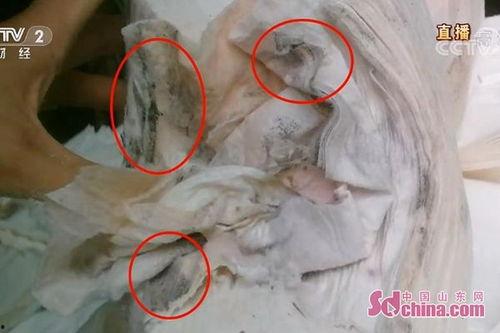 网曝成人纸尿裤视频