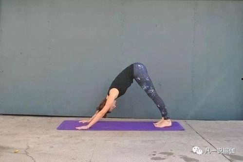 成人匍匐爬行训练视频讲解  第2张