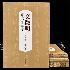 行书成人入门字帖视频教程,跟随字帖视频教程轻松掌握行书艺术 第2张 行书成人入门字帖视频教程,跟随字帖视频教程轻松掌握行书艺术 第2张