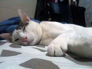 成人y y 视频,揭秘现代娱乐新趋势  第3张