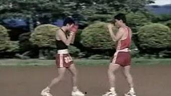 成人学散打步骤视频教学,视频教程步骤解析  第2张