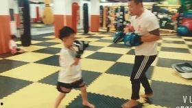 成人学散打步骤视频教学,视频教程步骤解析  第3张