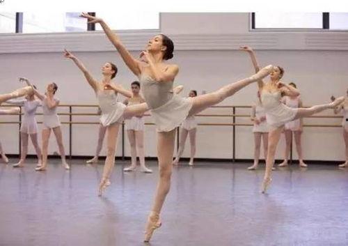 独舞芭蕾成人舞蹈视频,成人舞蹈视频中的优雅与力量展现  第1张