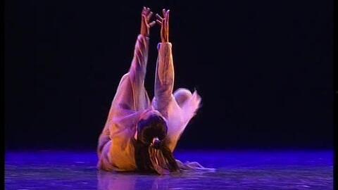 成人古典舞视频独舞