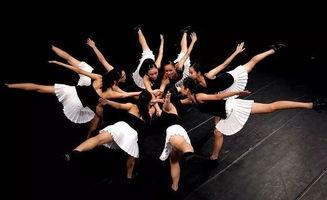 成人团体舞蹈造型视频欣赏  第1张