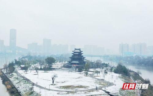 成人画雪景视频,成人绘画视频中的冬日童话世界