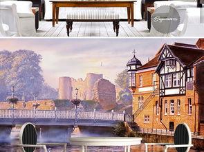 成人画雪景视频,成人绘画视频中的冬日童话世界  第3张