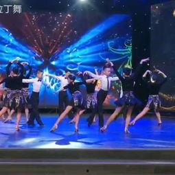 星光城成人舞蹈视频教学  第2张