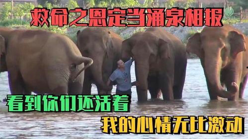 大象传媒成人短视频观看,揭秘成人短视频观看背后的现象与趋势  第3张