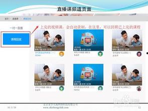零基础成人上课流程视频,轻松入门，高效学习指南